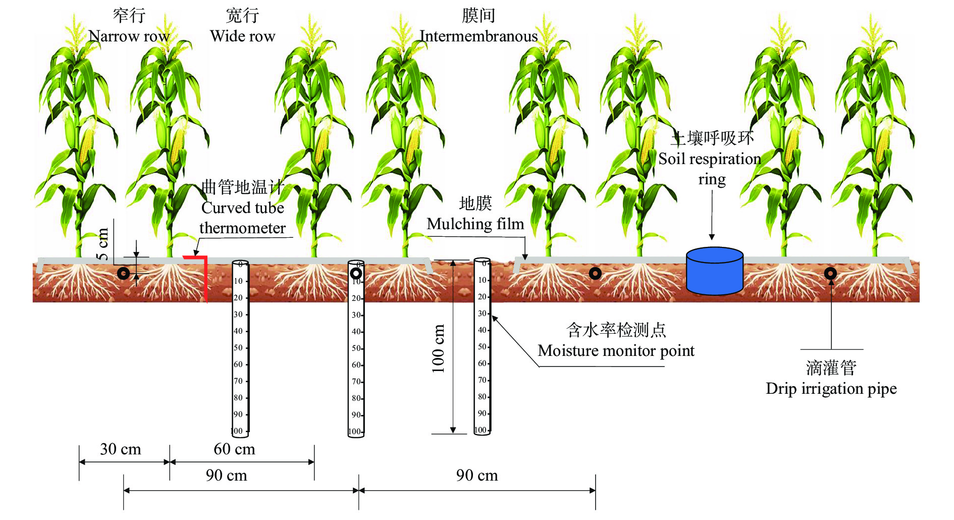 Effects of aerated drip irrigation and degradable film mulching on