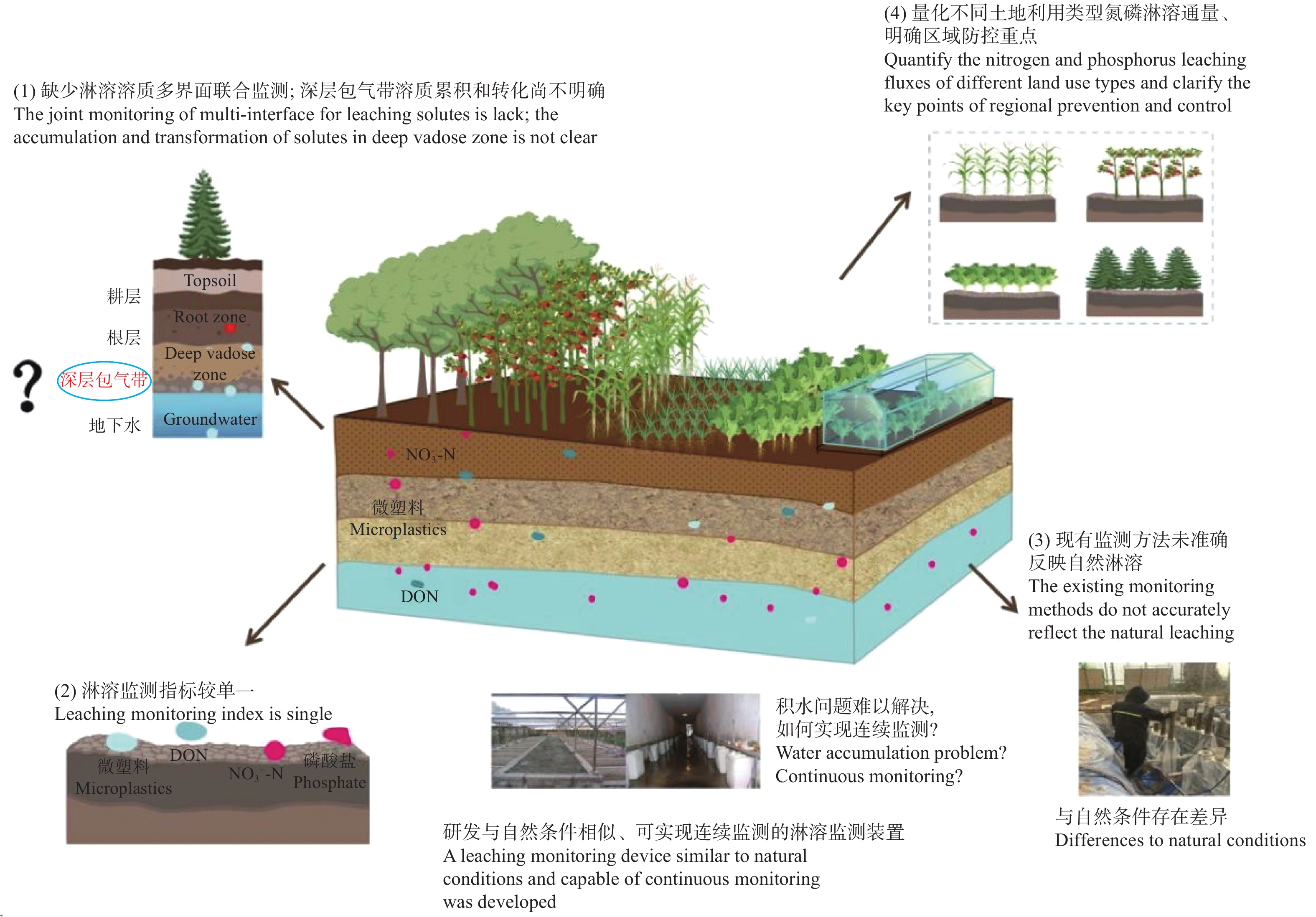 旱地农田氮磷淋溶发生特征研究进展